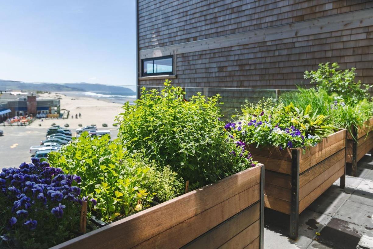 Headlands Coastal Lodge & Spa Pacific City Exterior foto